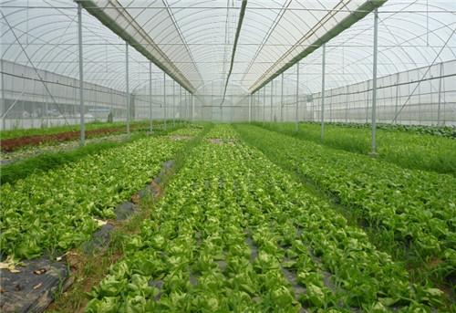 有机食品认证机构