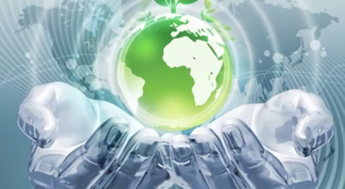 有机养殖条件有哪些